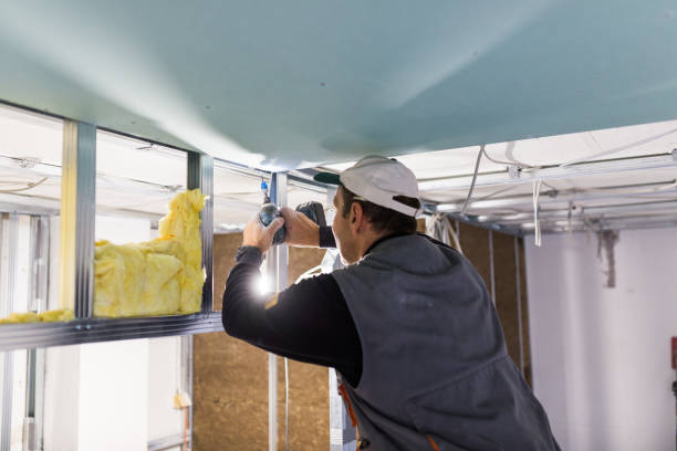 Best Specialized Insulation Services in Wiggins, MS